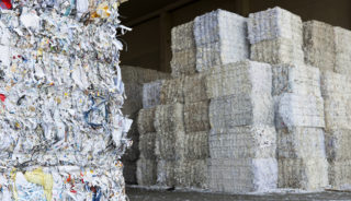 O Que Fazer Quando Se Tem Aparas De Papel Branco Para Reciclar